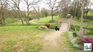 preview picture of video 'Chenil Saint-Roch, Pension pour chiens et chats à Taulé (Finistère, 29) TiVi Guide'
