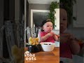 CHEF KOBE IS GETTING GOOD AT MAKING SMOOTHIES