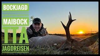 Bockjagd mit TTA-Jagdreisen | Jagdreise | Schwarzwaldhunters | Maibock | Roebuck hunting with TTA