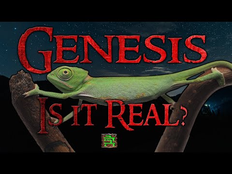 genesis-is-it-real-blurt