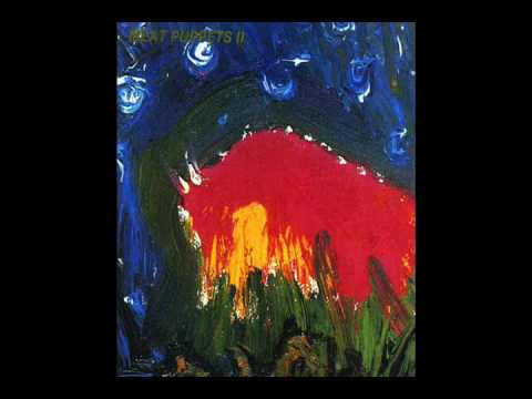 Meat Puppets- We're Here