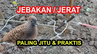 Download lagu RAHASIA Cara Membuat Jebakan Burung Paling Jitu dgn Karet dan Benang mp3