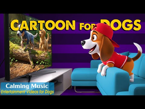 Dog Cartoon: Relaxing Dog TV to Keep Your Dog Calm When Home Alone🐶Best Anti-Anxiety Music for Dogs