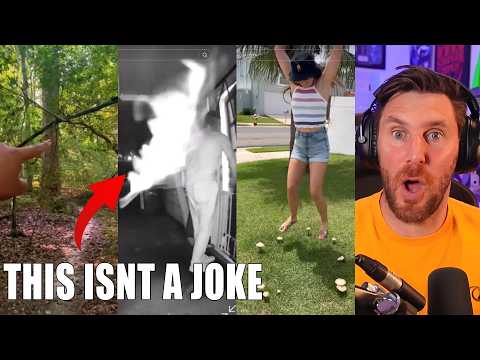 The Dark Secrets of The Fae: What You Need to Know