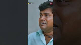 Download lagu எனக்கு எல்லாமே கோடி தான் #sunnxtshorts #Kodi #dhanush #trisha #tamilmovie mp3