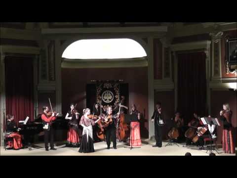 Violons Tziganes - Hora romanesca