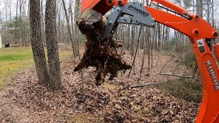 kubota bx25 and bxpanded thumb install/first use