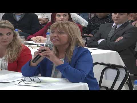 Sesión Ordinaria Especial N° 19