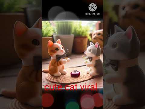 sweet cat video cat song#cat #funnycat #catvideos #viralvideo