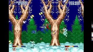 Forgotten worlds Sega Megadrive TAS 2 players Hard