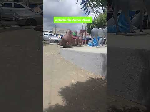 sidade de Picos Piauí