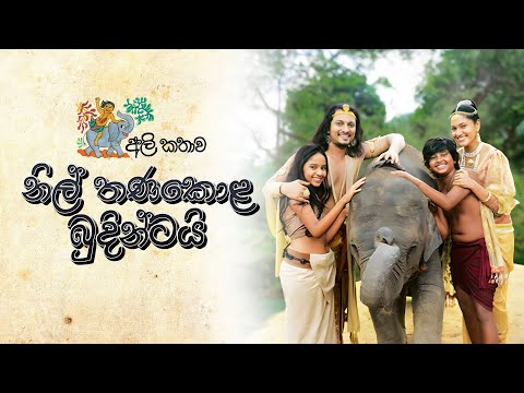 Nil Thanakola Budintai (කැලේ අයිති අලින්ටයි) - Iroshan Madushanka | අලි කතාව 2017