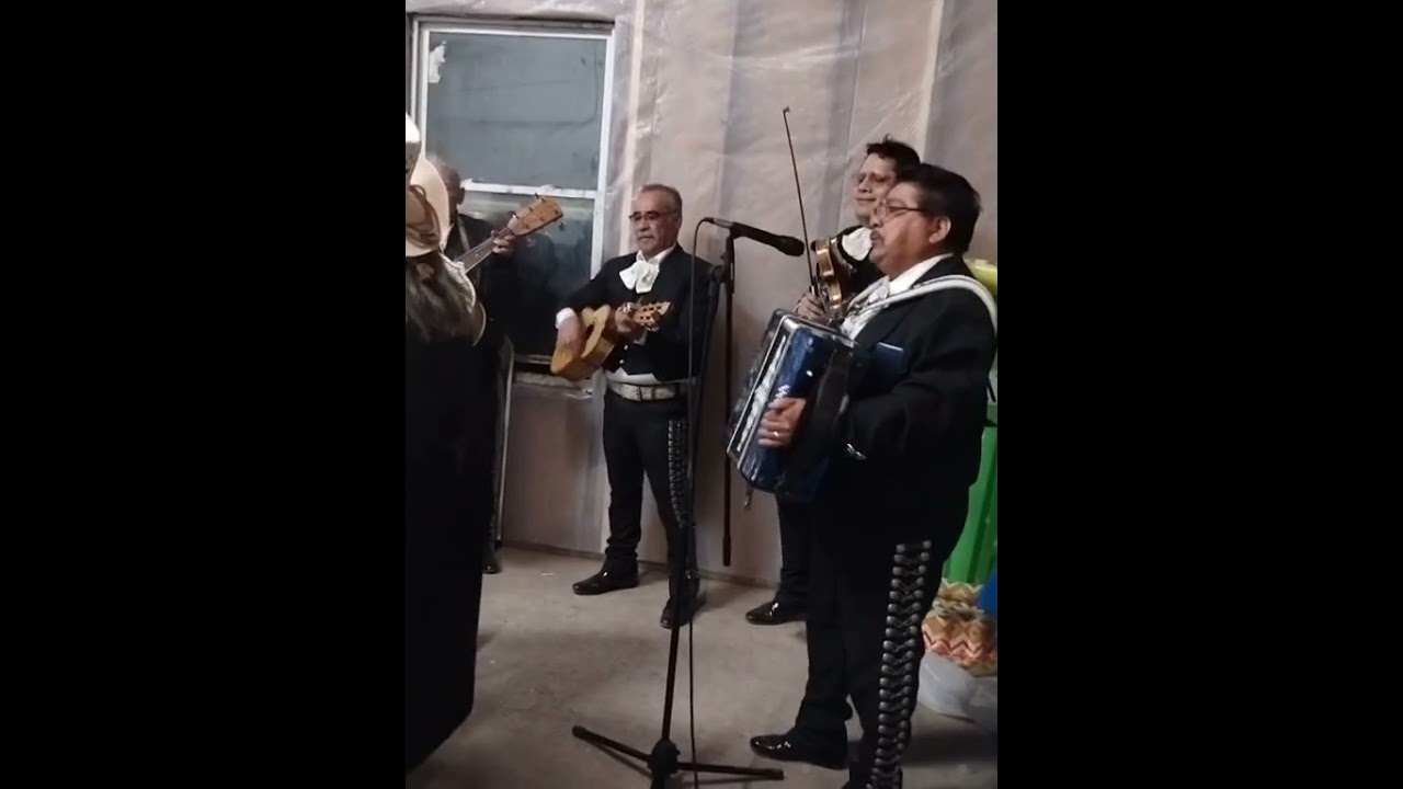 Promotional video thumbnail 5 for Mariachi Cuarteto Tapatio