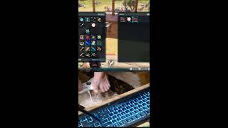 game The Shadow Government Simulator