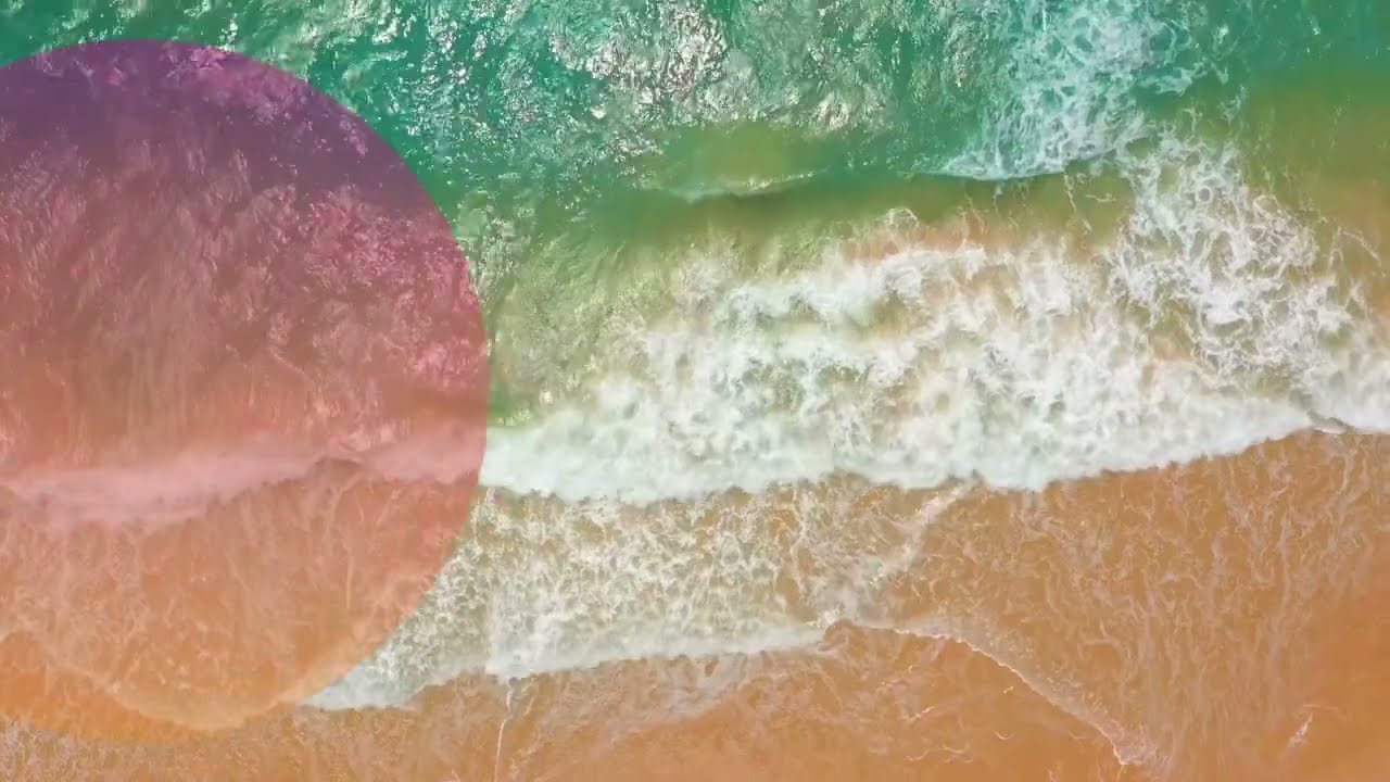 Bringing a Piece of Paradise Home: The Best Souvenirs from the Dominican Republic