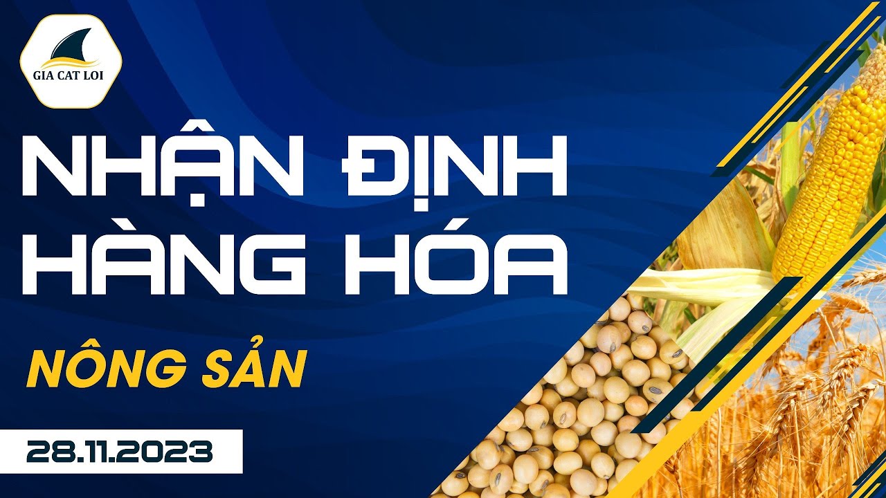 Nhận Định Hàng Hoá Nông Sản Ngày 28/11/2023