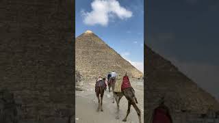 Giza Pyramid | Egypt Butiful Camel Riding Viral Video | Egypt 🇪🇬 | Traveling | Butifulnature