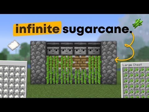The EASIEST Sugarcane Farm in Minecraft 1.21.6 (JAVA)