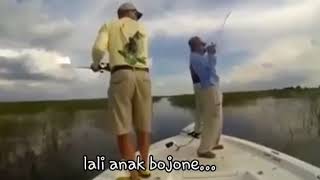 Download lagu Lagu mancing LUCU. bahasa Jawa mp3
