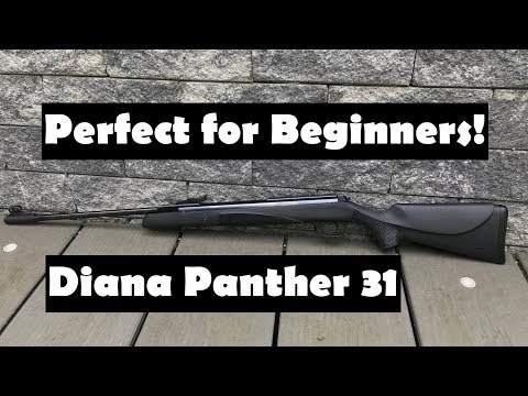 #Diana Panther 31 Einsteiger #Luftgewehr Review und Schusstest