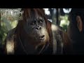 Raka Teaches Noa About Caesar Kingdom Of The Planet Of The Apes HD Quality