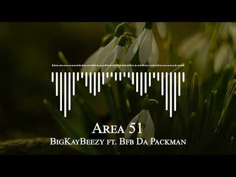 BigKayBeezy ft. Bfb Da Packman - Area 51