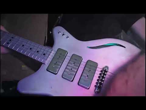 Electrical Guitar Company Duane Denison Chessie Custom 2021 - Aluminum image 26