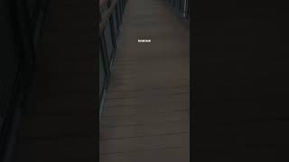Download lagu Story wa sendiri itu menyenangkan || Sendiri juga enak kok gak beda #selfreminder #beyourself mp3