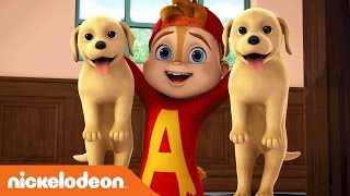 ALVINNN!!! and the Chipmunks | A Song For Every Situation | Nick