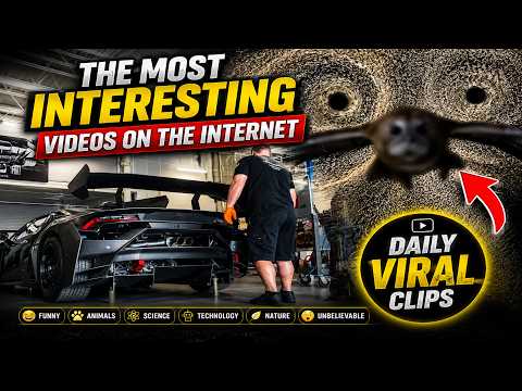 The Most Interesting Videos on the Internet 😱 Unbelievable Viral Moments!