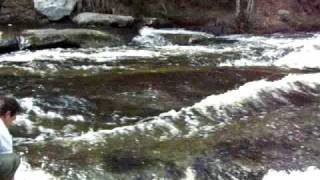 preview picture of video 'Gaspereau on the North Oromocto River, NB Canada'