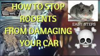 Stop RODENTS CHEWING CAR WIRING! EASY TIPS TO KEEP RODENTS OUT OF YOUR ENGINE BAY!