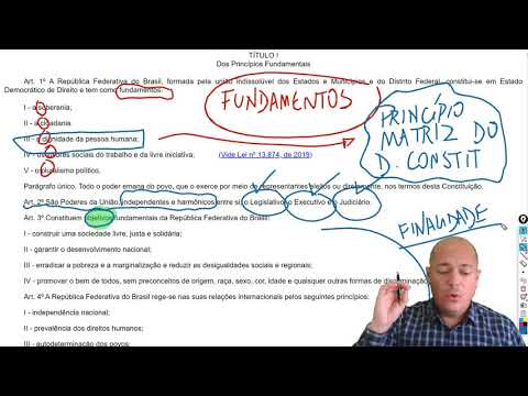 Princípios Fundamentais   art  1º ao 4º da CF 88