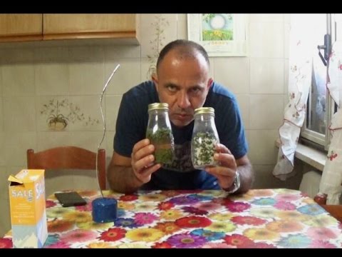 Chiarificazione di un fegato da helminths Mezzi da vermi in occhi