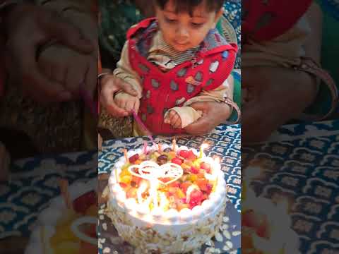 Pranith ka bdy cake #happybirthday #happybirthdaysong #birthday #happy #family #amairagurjar #shorts