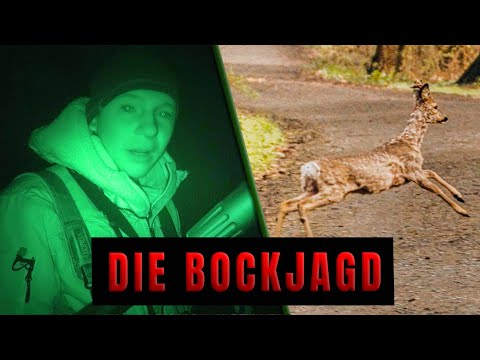 🌿 The Buck Hunt | Niklas on fire