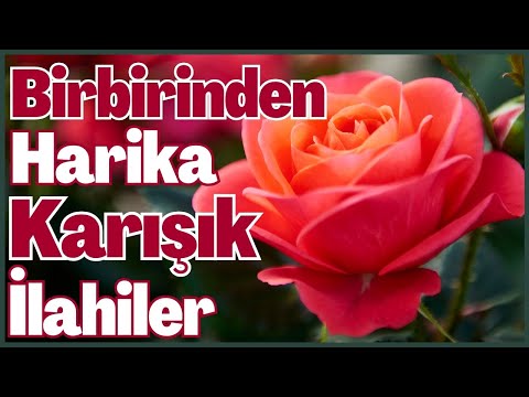 Birbirinden Harika Karışık İlahiler | En Güzel İlahiler