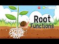 Root Functions