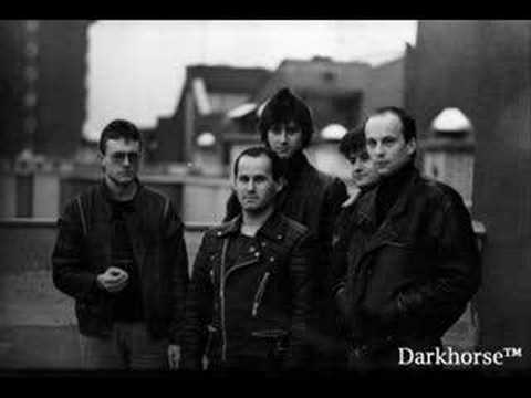 Martin Krpan  - To ni političen song