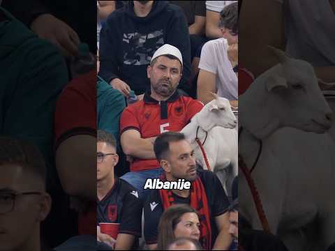 Tipični navijači...