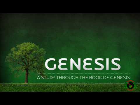 Teleconference: "Rediscovering the book of Genesis: A brief study on how to better exegete the text"