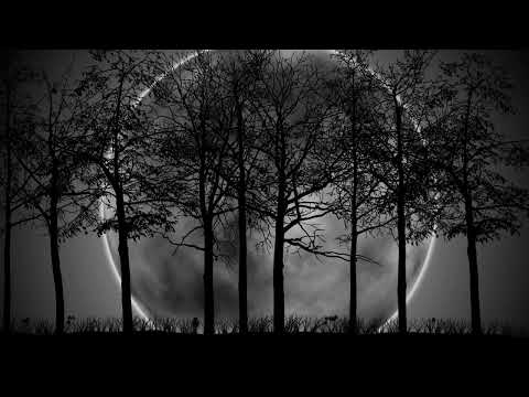 Omer Yavuz -  Minimal Techno Mix Vol.1