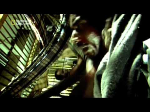 Promo NG   Prigionieri di viaggio 5 ITA by Peugeot206RC