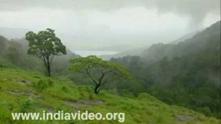 Misty Nelliyampathi hills