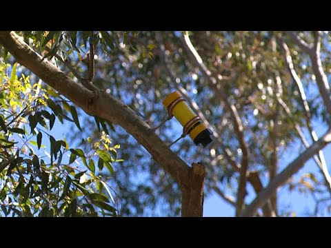 John Luther Adams: Wind Garden - Stuart Collection