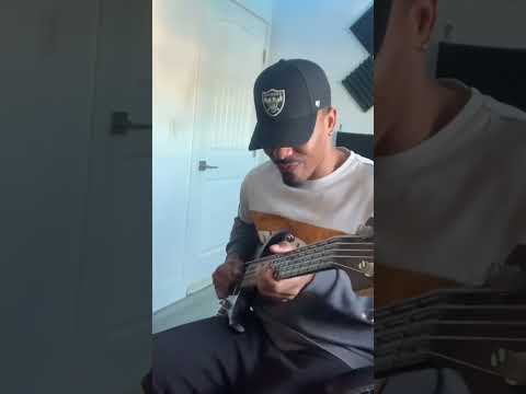 RHCP Can’t Stop Bass Cover