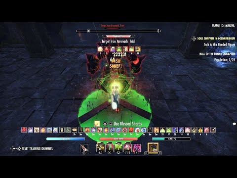 ESO - Necrom: Stamina Arcanist DW/Bow 118.6K