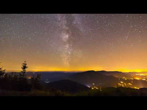 Arman Arman mohsen mirzadeh