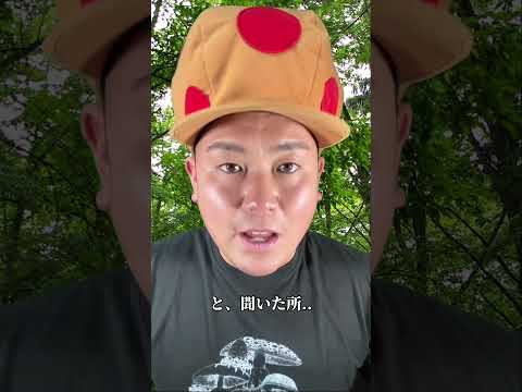 フランスにおける有毒キノコとは何ですか?またその見分け方は?選ぶときはこの7種に注目！  庭園