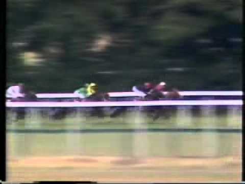 1981 King George VI & Queen Elizabeth Diamond Stakes Ascot Shergar